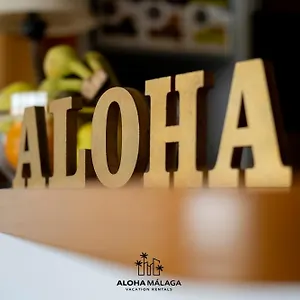 https://ohana-beachfront-malagueta.1costadelsol.com
